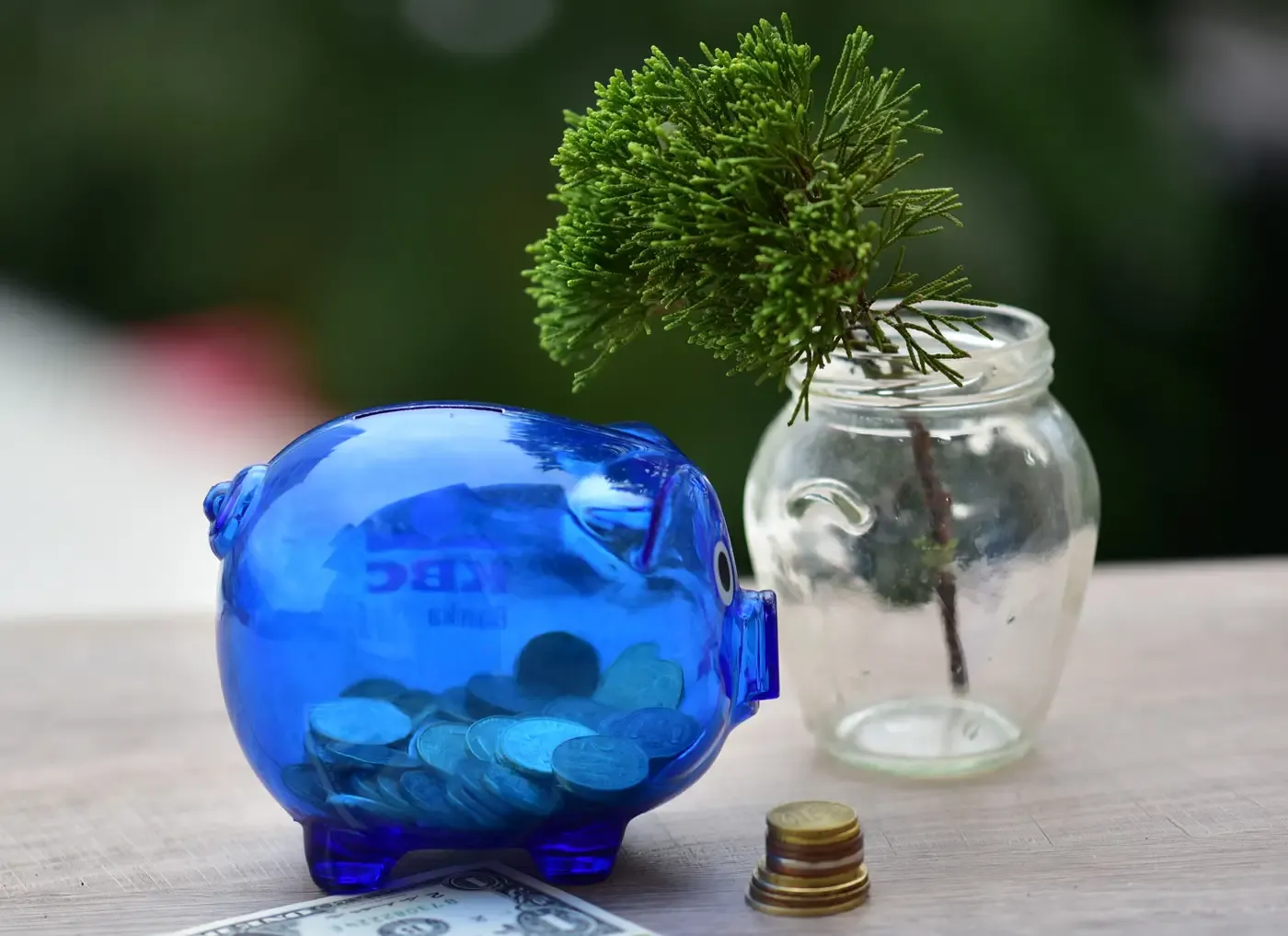 Webes forgalom low budget-ből? Lehetséges?