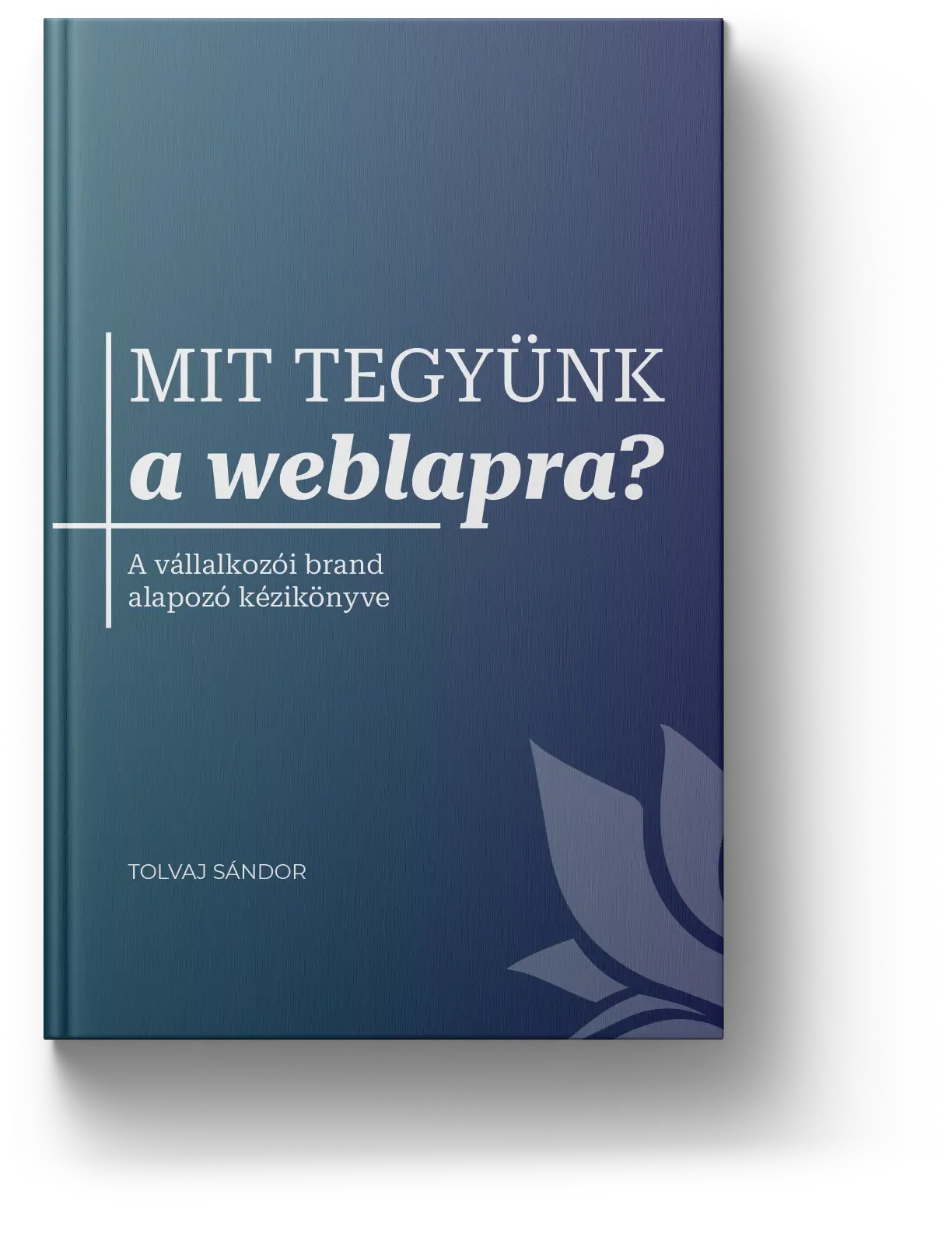 Mit tegyünk a weblapra? könyvborító kép