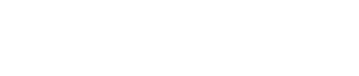 Business Bloom Consulting