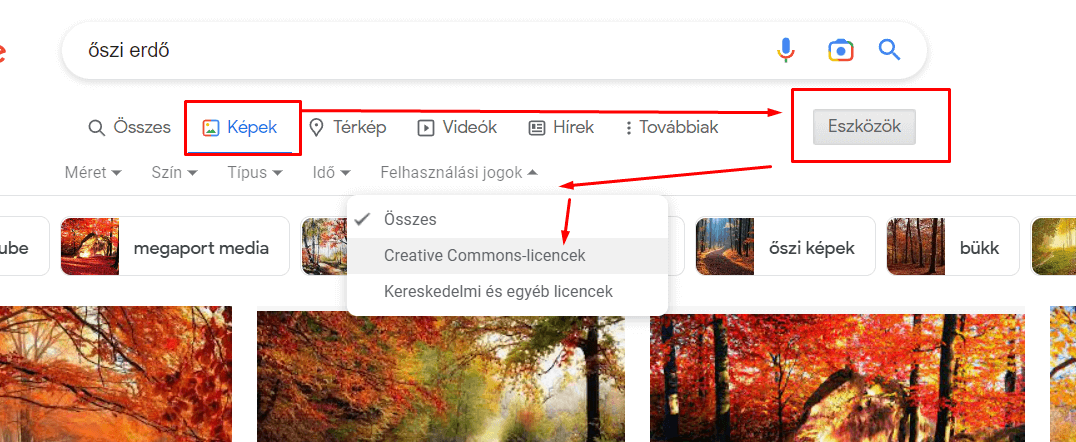Google fotó keresés jogtisztán, képek